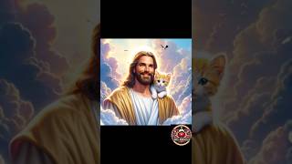 Jesús saves kitten from poisonous snake #jesus #cat