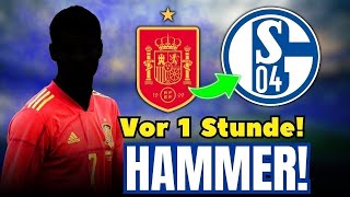 SPANISCHER STAR für Schalke: La Roja-Spieler UNTERSCHREIBT | S04 NACHRICHTEN HEUTE