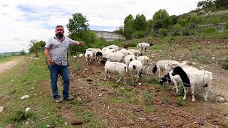 Presentación Ex. Hacienda El Zoquital  | Ex. Hacienda El Zoquital 🐑