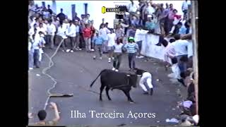 RIR Com Marradinha #5 Ilha Terceira AÇORES