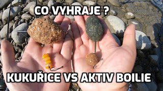 Kukuřice vs aktiv boilie. Co vyhraje a bude efektivnější? Souboj nástrah. Kaprařina. Lov kapra.