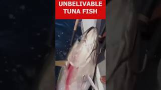 Unbelievable Fact About Tuna Fish #shorts