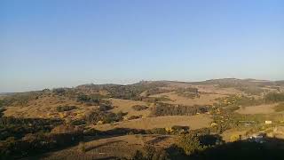 Mistérios dos ipês em serrania MG  lindo de se ver