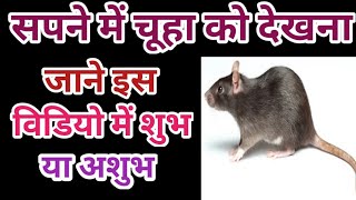 Sapne Mein Chuha Ko Dekhna, सपने में चूहा को देखना, seeing a rat in a dream