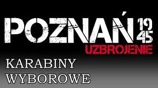 Karabiny wyborowe - "Poznań 1945 - uzbrojenie"