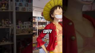 PEOPLE I DIDN’T KNOW LIVED IN PLAYA Pt.1 #playadelcarmen #luffy #onepiece