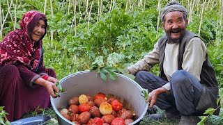 Rosh Afghani Traditional food cooked by Old lovers | village like Afghanistan