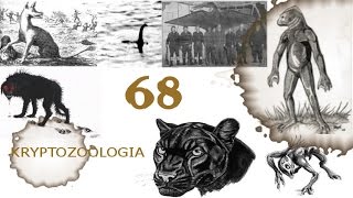 68# Kryptozoologia - Altamaha-ha