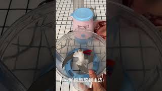 Amazing Meat Grinder Machine| Dry Grinder | High Speed Blender #Shorts5054