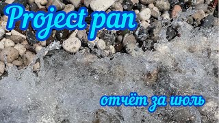 Project pan. Отчёт за июль.