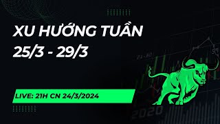 Lướt sóng chứng khoán 24/3: XU HƯỚNG TUẦN 25/3 - 29/3