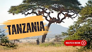 Tanzania: Discovering the Magic Travel🌟  | Tanzania  From Serengeti Sunsets to Zanzibar Bliss! 🌅🏝️"