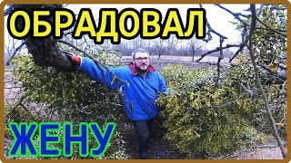 Обрадовал Жену на 8 марта! Живем за городом!