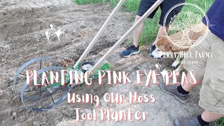 Planting Pink Eye Peas Using Our HOSS Planter