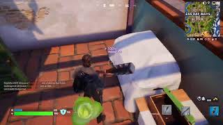 Fortnite playing with viewers