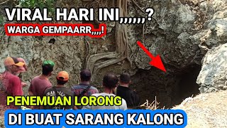 NGERI❗tidak di duga menemukan lorong di kuasai kalong/kelelawar heboh di lamongan