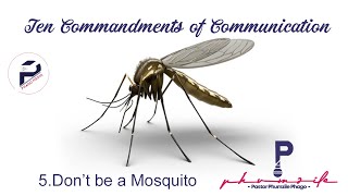 Don't be a mosquito: always nagging & criticising!