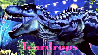 Tarbosaurus (JWCCHA) - Teardrops