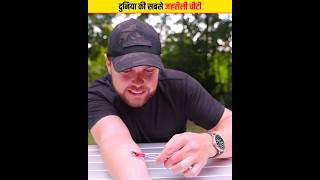 दुनिया की सबसे जहरीली चीटी | Bullet Ant #short #viral #animals