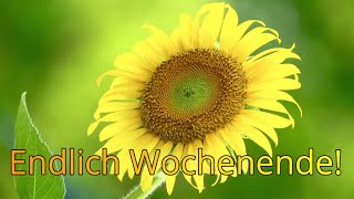 Ein wunderschönes Wochenende!   /   Liebe Grüße zum Versenden