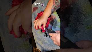 Check out my Tik Tok for more content @lazylakerscreations #tiedye #diy #tiedyefashion #pawprints