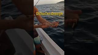 Риболов на калмари в Гърция Squid fishing in Greece