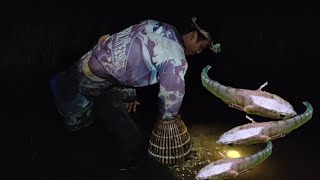 Berburu ikan gabus teknik tradisional