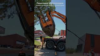 Transplantation of large trees / Пересадка крупномеров #shorts #tree #transplantation #крупномеры