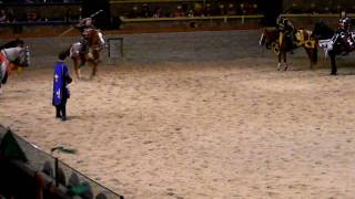 Medieval Times - Green knight spears target