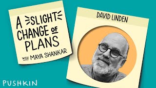 A Neuroscientist’s Curious Approach to Dying | A Slight Change of Plans | Maya Shankar