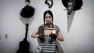 The Addams Family Theme - Flávia Silveira (Washboard Cover)