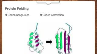 Codons Optimization-Creative Biogene