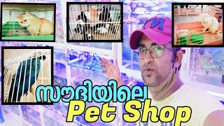 സൗദിഅറേബ്യയിലെ ഒരു കിടിലൻ Pet Shop| Pet Shop in Saudi Arabia