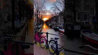 Beautiful sky of Netherlands 🧡✨ #shorts #viral #shortvideo #shortsvideo