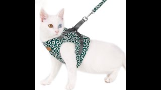 Cat vest harness