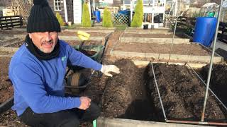 No 17 - My Runner Bean Trench & A Chat in the Shed.