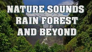 NATURE SOUNDS . RAIN FOREST . AND BEYOND