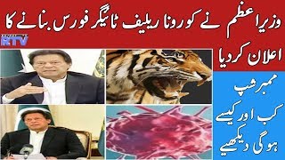 PM Imran khan announces formation of Corona Relief Tiger Force