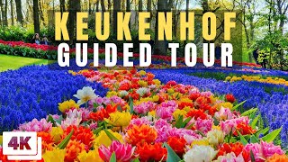 Keukenhof Full Guided Tour