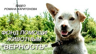 Фонд Верность в Саратове