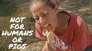 CRISPS FOR GOATS - I DO THIS PURELY TO HEAR THE CRUNCH #asmr