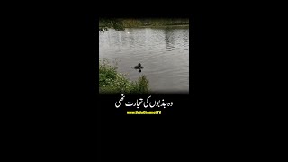 یہ دل کچھ اور سمجھا تھا.mov