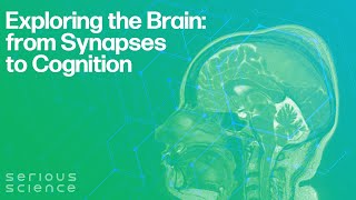 Exploring the Brain: from Synapses to Cognition