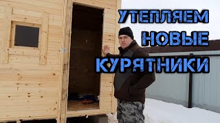 Утепляем курятник. Наши новички: Мараны, Кучинка, Сяошань.