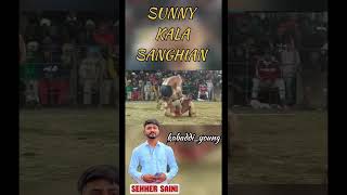 Sunny Kala Sanghian Kabaddi Stopper #viralshorts #trendingshorts #youtubetrendingshorts #shorts