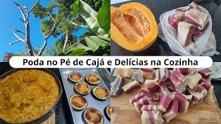 Poda no Pé de Cajá e Delícias na Cozinha