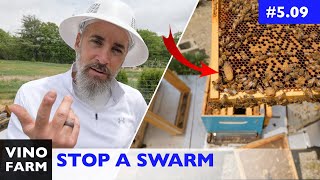 How to Prevent a Swarm... By Accident? (Lessons Learned)