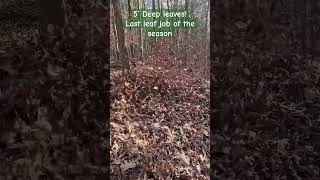 Stihl 800 and Echo 9010 moving leaves