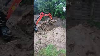 Wurzel entfernen ausgraben mit Minibagger Arbeiten fahren Bagger Gartenarbeit