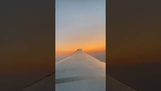 When you get to see sunrise from a Boeing 777-300 ER #sunrise #planespotting #viral #shorts